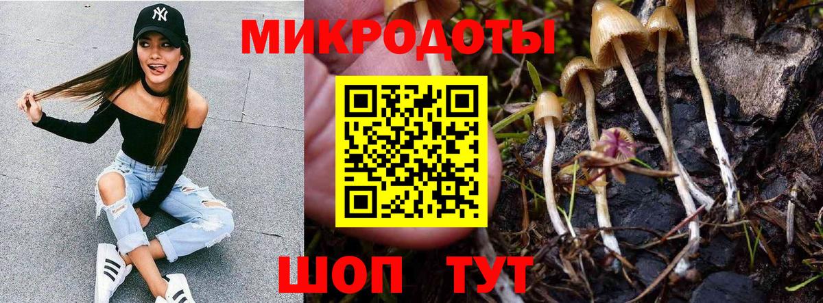 Галлюциногенные грибы GOLDEN TEACHER  Галлюциногенные грибы Magic Shrooms  Нововоронеж  Вход с VPN 