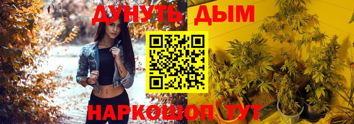 Нововоронеж  Марихуана индика  Вход с VPN  Бошки марихуана Ganja  Конопля ГИДРОПОН 